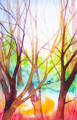 Watercolor illustration of a beautiful Russian forest at sunset