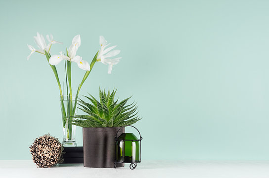 Fresh home decor with green aloe, candlestick, black books, spring white flowers, decorative round sheaf of brown twigs in style green mint menthe interior on white wood table.