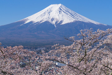 Fototapeta premium 山梨県新倉山からの富士山