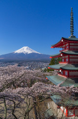 山梨県新倉山からの富士山