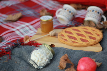 autumn picnic