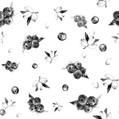 Watercolor hand drawn seamless pattern with monochrome berries of blueberry and buckthorn against white background. Food illustration, wrapping, book cover, textile template
