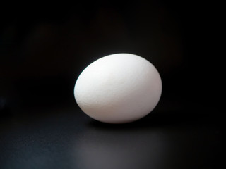 a whole white unpainted egg on a black background, with a large planom