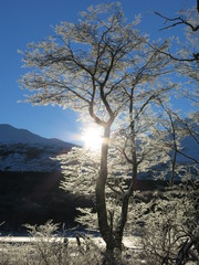 Winterstille