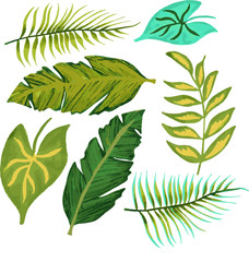 Tropical jungle leaves vector illustration. Set of hand drawn exotic rainforest plants