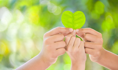 Hands holding green heart shaped tree, planting trees, loving the environment,protecting nature...