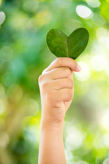 Hands holding green heart shaped tree, planting trees, loving the environment,protecting nature...