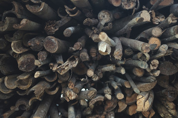 Pile of round dry twig for firewood