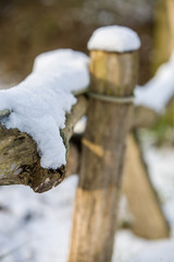 Moss and snow covered fence post in winter