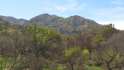 Fototapeta na wymiar Malibu Creek State Park in California