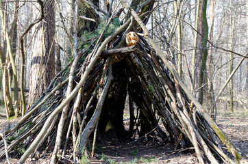 A wigwam in a forest of branches.