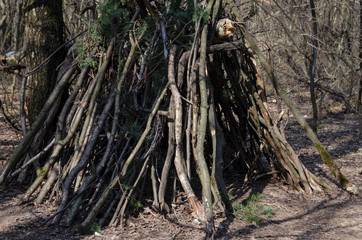 A wigwam in a forest of branches.