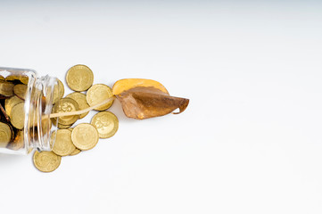 Concept of economic crisis. Gold coins outside the jar and the plants wither