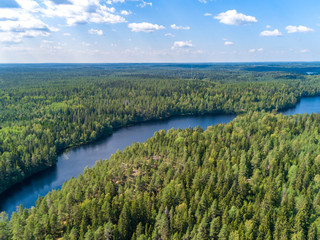 Fototapeta na wymiar Aerial view of blue lakes and green forests on a sunny summer day in Finland. drone photography