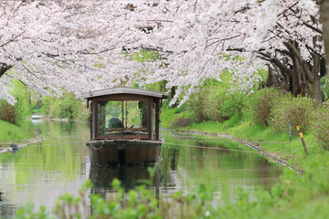 京都　伏見　船
