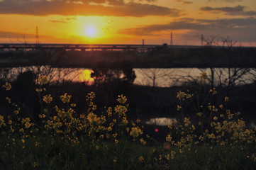 spring sunset