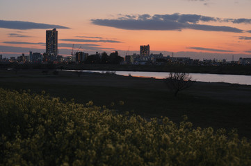 spring sunset