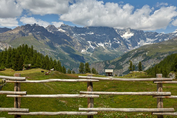A wooden fence in the foreground. In the background are green meadows, cows and a lonely house.