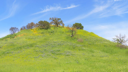 Malibu Creek State Park in California
