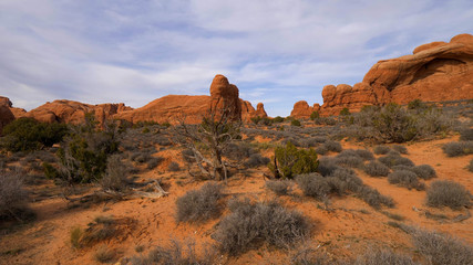 Amazing Scenery at Arches National Park in Utah - travel photography