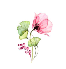 Watercolor Rose arrangement. Big pink flower with ginkgo leaves and berries isolated on white. Hand painted artwork with x-ray flower. Botanical illustration for cards, wedding design