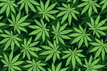 Naklejka na ściany i meble Marijuana leafs or cannabis leafs weed