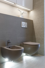 Fototapeta na wymiar Brown toilet and bidet. Modern wc interior. Economic toilet white flush press with two separate buttons for flushing toilet. Bottom light. Shelf with statuette.