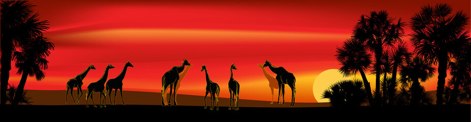 Fototapeta na wymiar giraffes group near palm trees at red sunset