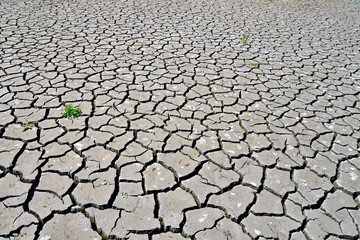 Cracked mud at the bottom of a spilled pond. Dried cracked earth. Dry summer weather.