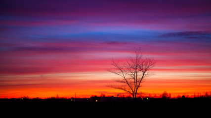 Fototapeta na wymiar Tree on a background of fiery sunset