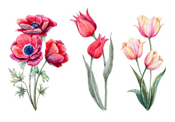 Beautiful watercolor floral set with gentle spring flowers. Stock illustration.