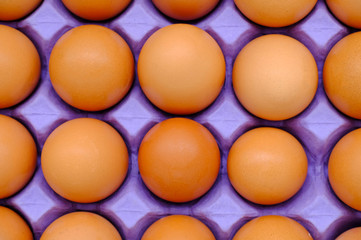 Close-up view of raw chicken eggs in egg box on white background  © ric