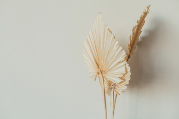 Fan leaves made of craft paper on white background. Minimal floral concept. - obrazy, fototapety, plakaty