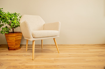 Armchair with plant in the pot - modern living room