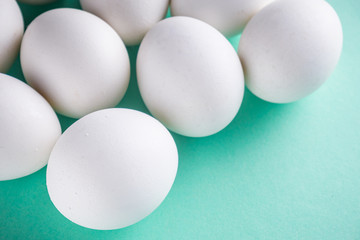 white chicken eggs on green pastel background