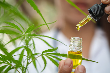 A woman holding a dropper with an oil product, Concept of herbal alternative medicine, cbd hemp...