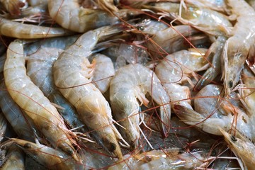 Close up of Fresh raw shrimp frozen on the ice, thai street food market