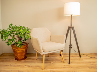 Living room with modern armchair, floor lamp and green plant in a oak pot