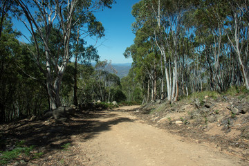 Dirt road leading down a hill