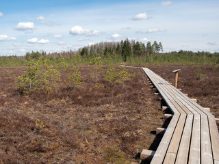 Baltic landscape with footbridge, sunny day with white clouds
