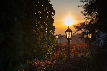 Street lanterns in the park at sunset time 