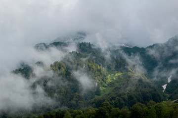 fog on the mountain
