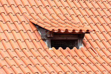 Old tiles with roof window