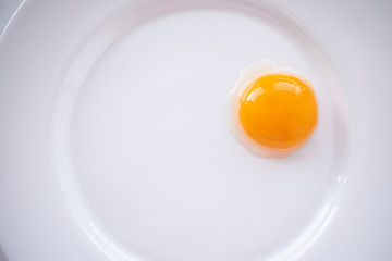 Egg yolk on a white plate
