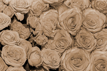 Background of bouquets of flowers. Roses. Design. Toning. Close up.