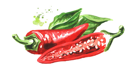 Red hot chili pepper, whole and halved pods. Hand drawn watercolor illustration  isolated on white background - obrazy, fototapety, plakaty