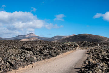 Volcanic Lanzarote landscape. Lanzarote. Canary Islands. Spain