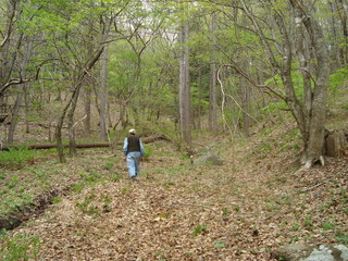 It is a country landscape photo. It is Gunma prefecture in Japan.