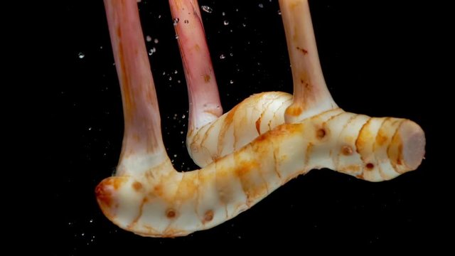 Galangal Drop in Water Slow Motion