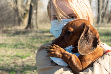The blonde girl with a protective medical mask on her face holds a dachshund dog in her arms in a mask. The dog does not want a mask, takes off his paw. Close-up. There is no threat to animals from th